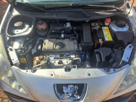 Peugeot 207 QUIKSILVER 1.4 Flex 8V 5p
